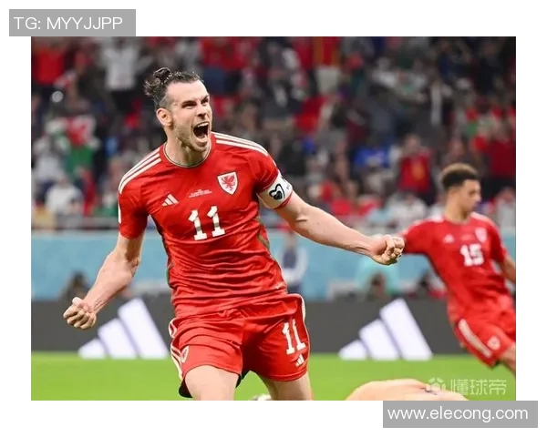 贝尔在绿茵场上的精彩瞬间与足球明星风采全景展示