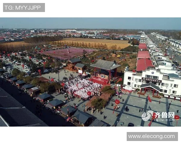 木浦市与天安城的精彩对决分析及两地文化特色探讨