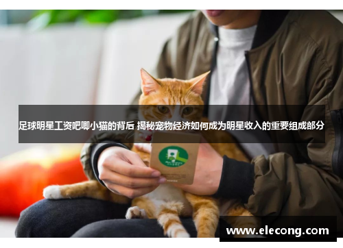 足球明星工资吧唧小猫的背后 揭秘宠物经济如何成为明星收入的重要组成部分